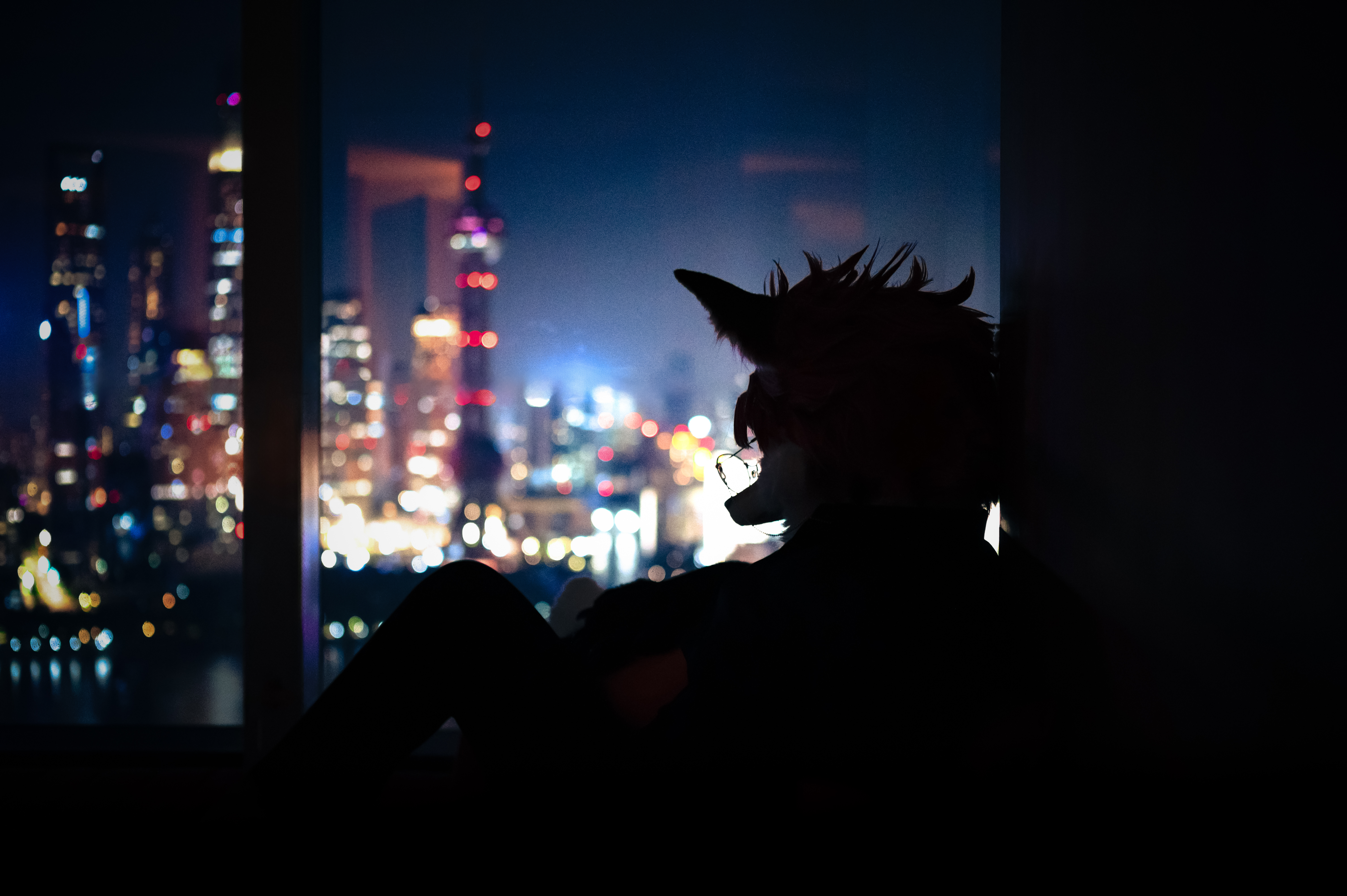 兽装摄影封面