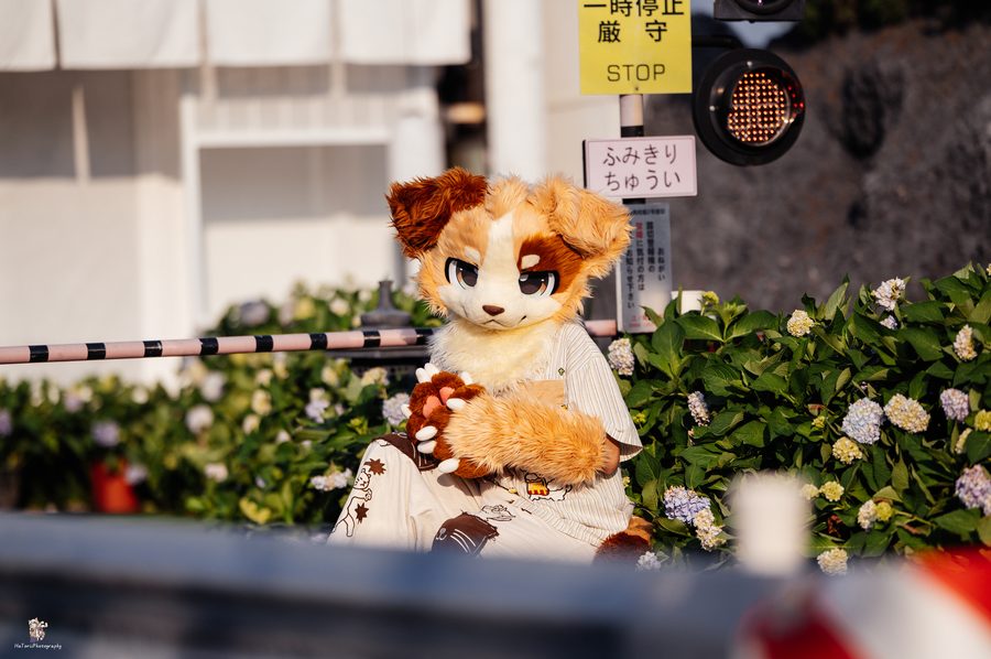 户外作品 11